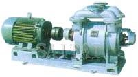 Water ring vacuum pumps