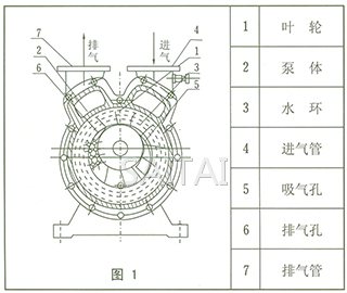 SZ系列水环式真空泵结构图1